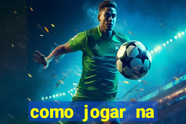 como jogar na lotinha do jogo do bicho